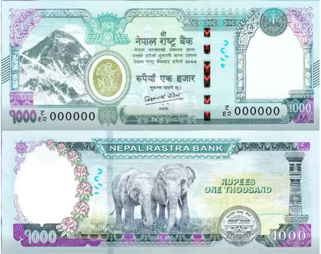 नयाँ हजारकाे नाेटमा जुम्ल्याहा हात्ती ‘राम’ र ‘लक्ष्मण’