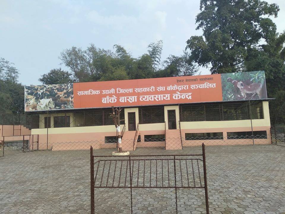 ६ महिनामा साढे दुई करोड आम्दानी