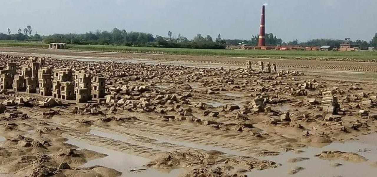 ईट्टा व्यवसायमा साढे १४ करोड क्षती
