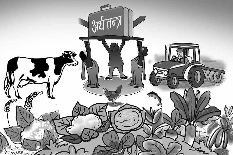 कृषिक्षेत्रमा कर्जा लगानी २६.८ प्रतिशत