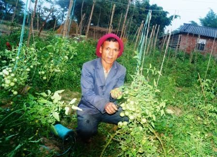 व्यवसायबाटै ५ लाख आम्दानी