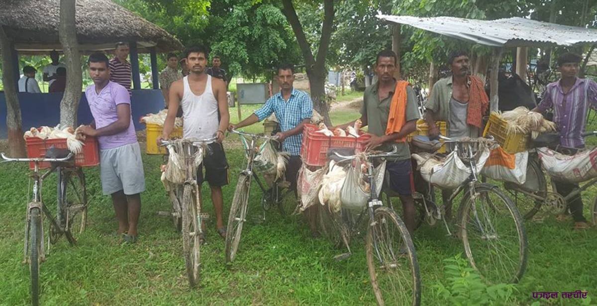 सुरक्षाकर्मीकै संरक्षणमा तस्करी