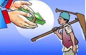 कृषिमा ब्रम्हलुटः अनुदान वेकाम खर्च