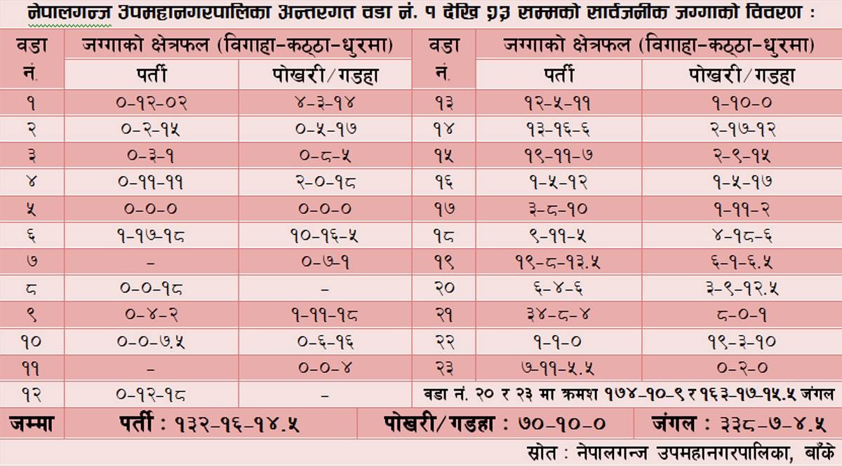 सरकारी जमिन सुरक्षा चुनौती
