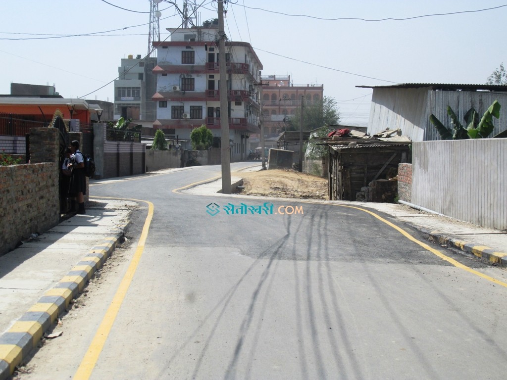 नगरमा नागबेली सडकः सिधा बनाउन कोही देखिएनन्