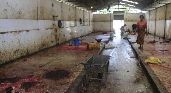 मासु व्यवसायीलाई ५० हजार जरिवाना