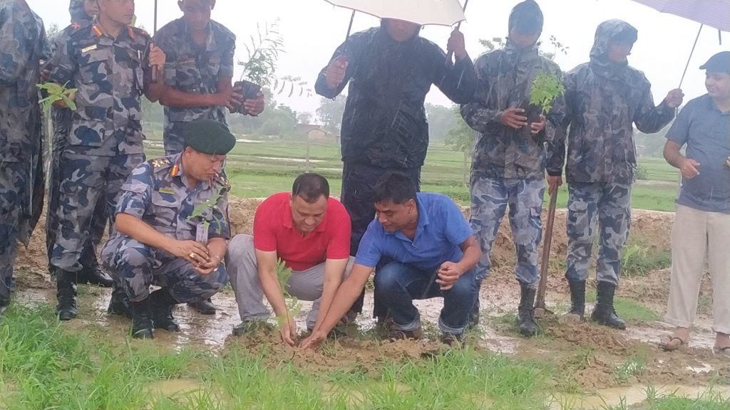 बोर्डर आउट पोष्टमा बृक्षारेपण