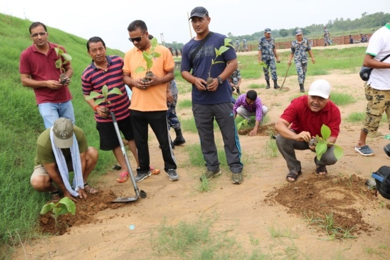 ल्याण्डफिल्ड साइटमा वृक्षारोपण