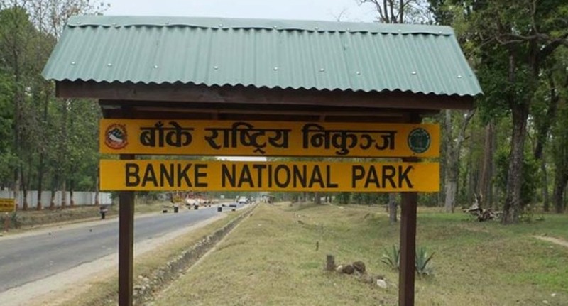 ‘टुर दि बाँके नेशनल पार्क’को तयारी पुरा