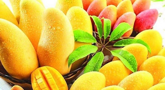 फलको राजा आँपः प्रोटिन, भिटामिन, खनिज, कार्बोहाइड्रेडको स्रोत