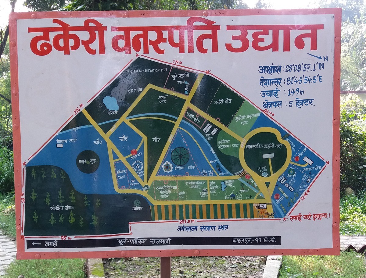 ढकेरी बनस्पति उद्यान संकटमा