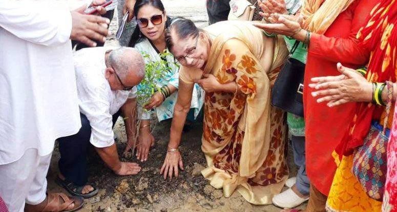 विपी प्रतिष्ठानद्वारा बृक्षारोपण