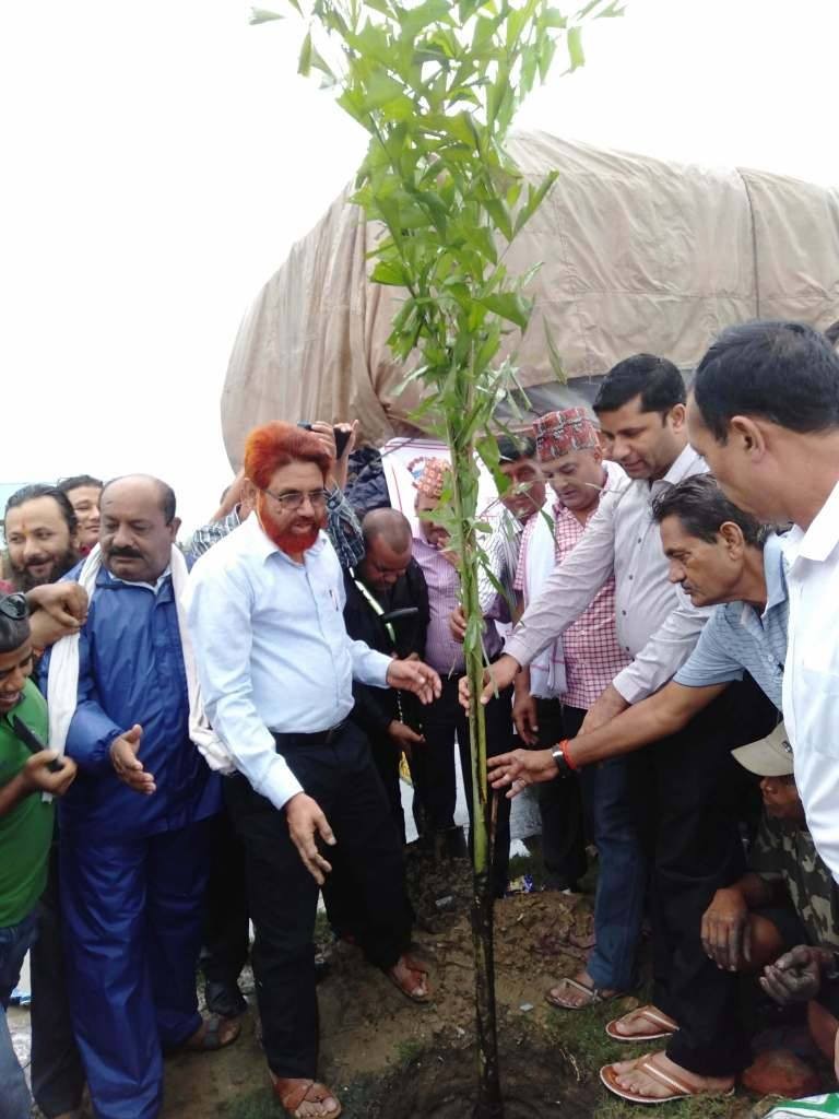 १० हजार बिरुवा रोप्ने अभियान शुरु