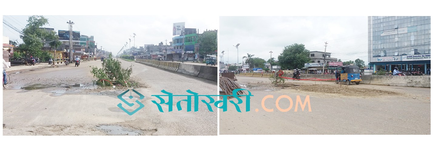 सडकमा ज्यानमारा खाल्डो दोषी को ?