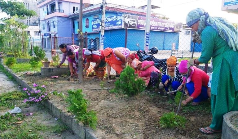 नेपालगन्ज सहित १२ जिल्लाको सडकमै पुष्प खेती