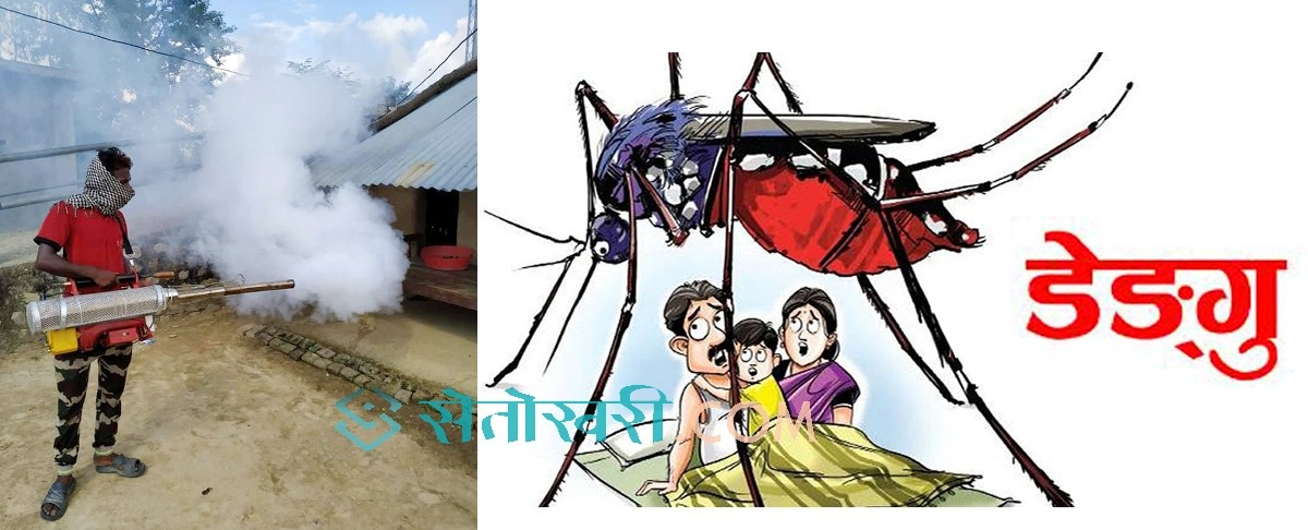 बाँकेमा डेंगुका २३ विरामी