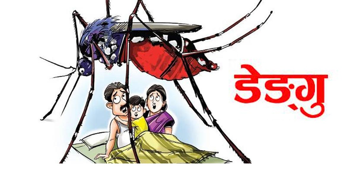 ७१ जिल्लामा फैलियो डेङ्गु सङ्क्रमण