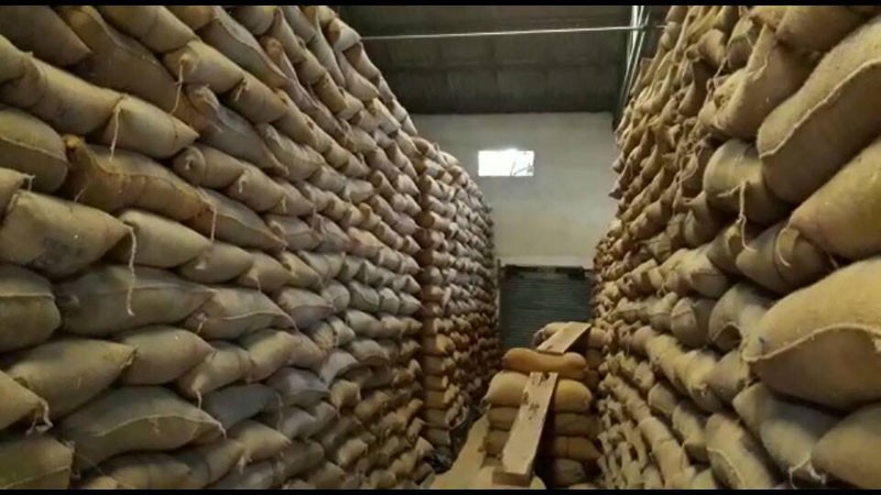 खाद्य संस्थानले धान नकिन्दा किसानलाई समस्या