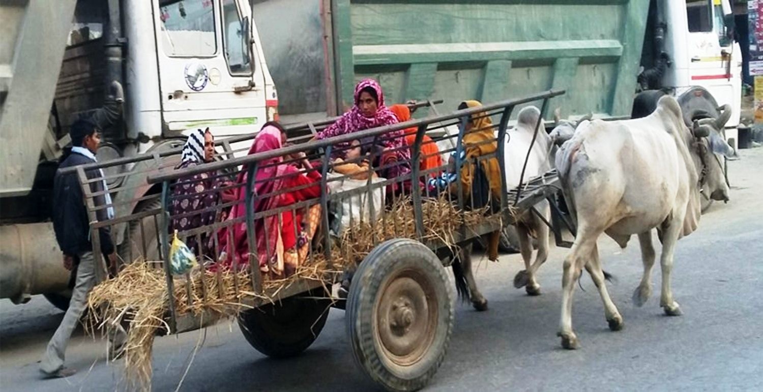 उपमहानगरमै ‘लडिया र बुकी’को भर