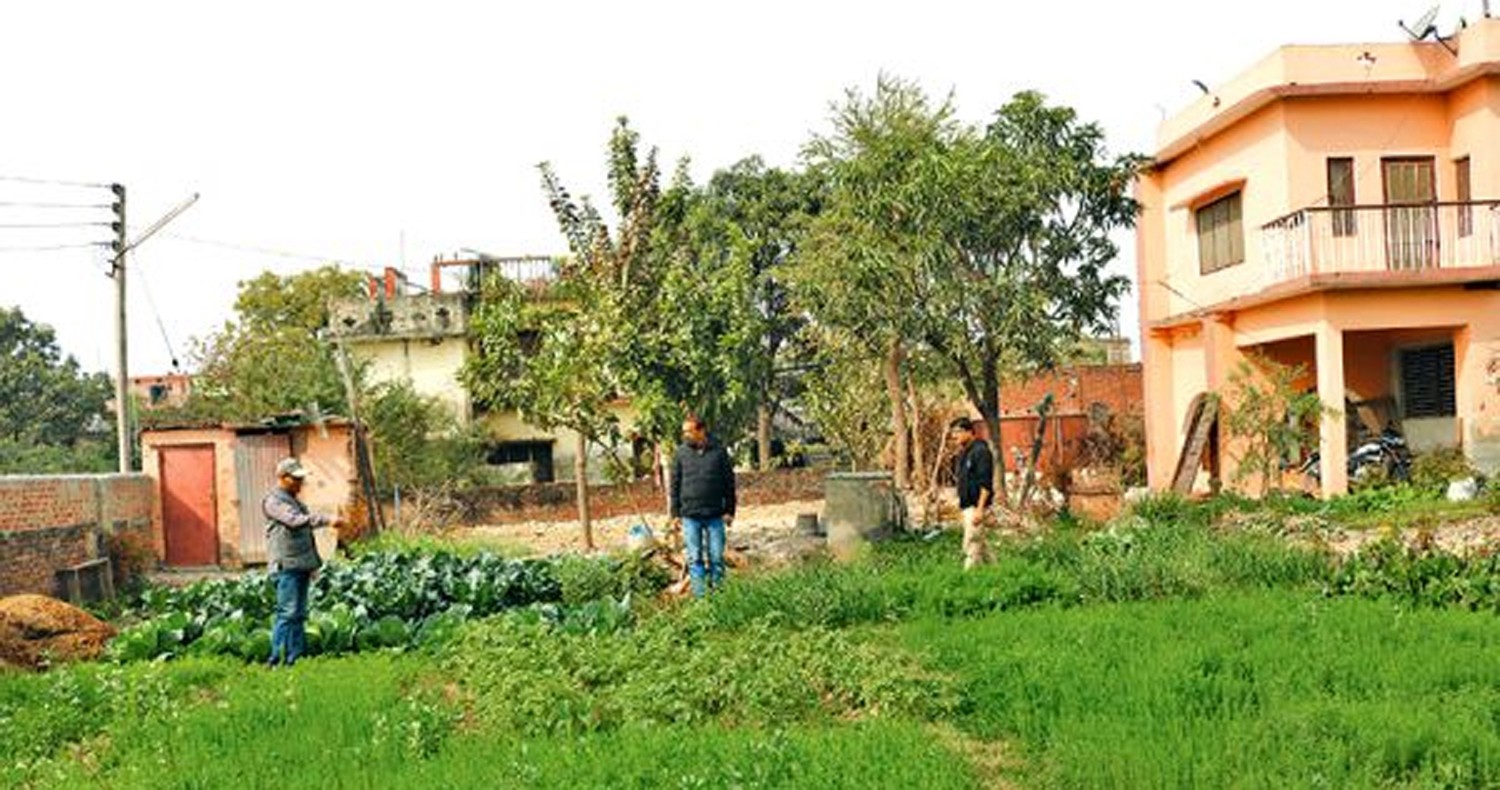 एकघर एक करेसाबारी कार्यक्रमः करेसाबारी विहीन वडा नम्बर १