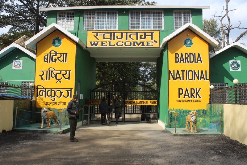 बर्दिया राष्ट्रिय निकुञ्ज आउने पर्यटक बढे