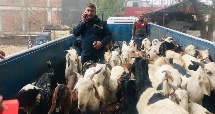 अबैद्य खसी नियन्त्रणमा