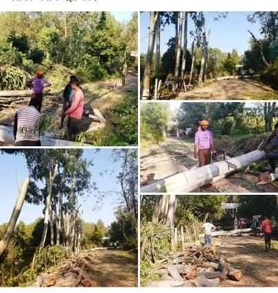 अख्तियारद्वारा सामुदायिक वनमा छापा