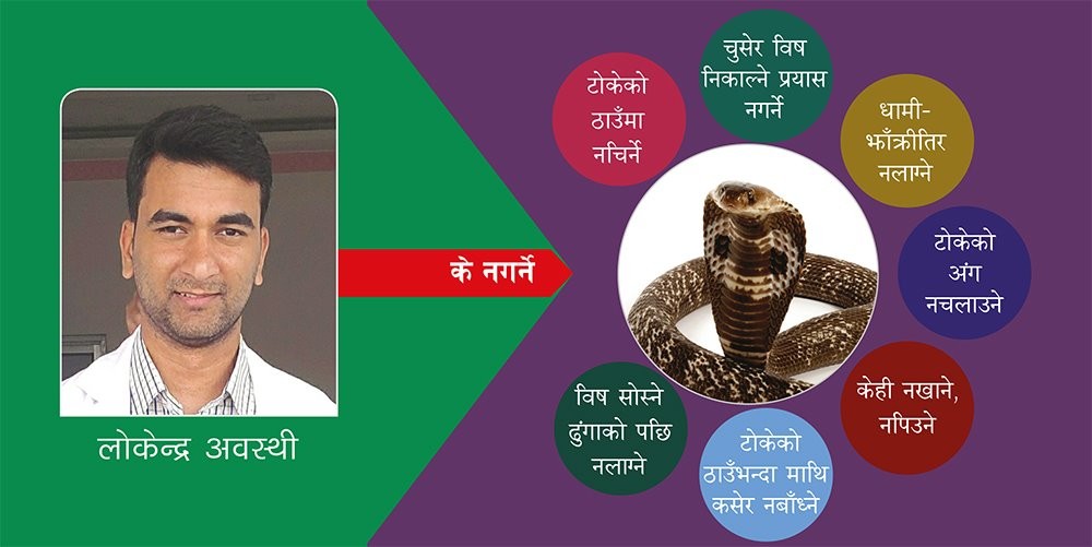 सर्पले डस्दा गर्नै नहुने यी ६ काम र बच्ने १२ उपाय