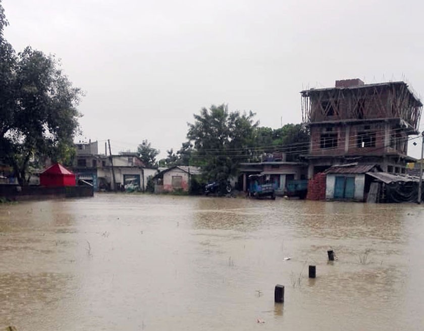 कैलालीका बाढी पीडितको बिचल्ली