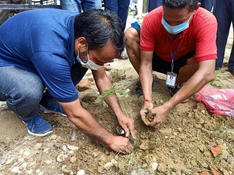 बिद्युत प्राधिकरणको वार्षिकोत्सवमा सरसफाइ तथा वृक्षारोपन