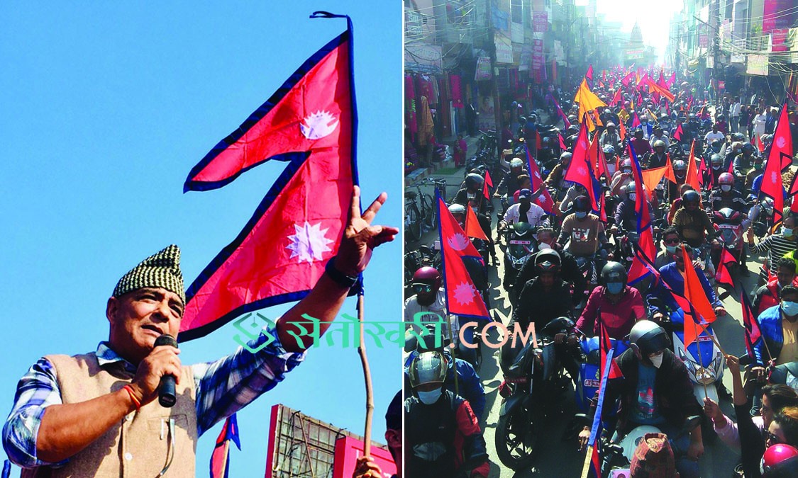धवल बने राप्रपा संगठन विभाग प्रमुख