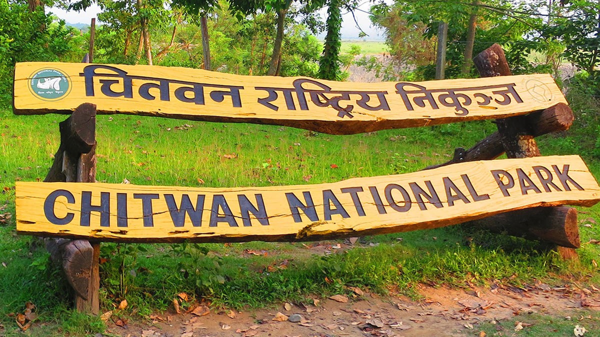 पाँच महिनामा ५४ वन्यजन्तु मरे