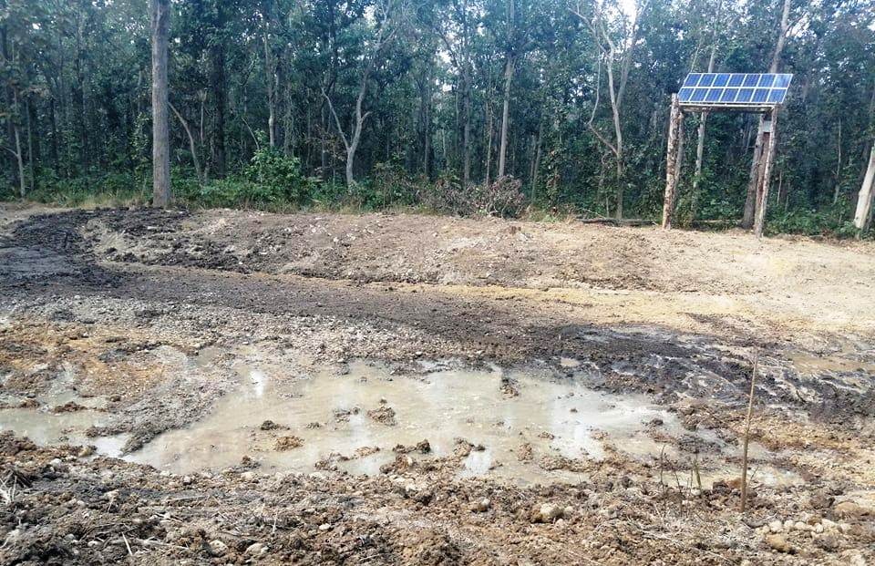 वन्यजन्तुको तीर्खा मेटाउन निकुञ्जमा सोलारसहितको पानी पोखरी