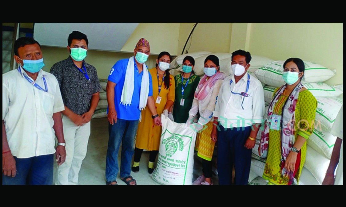 नेपालगन्जमा ५० प्रतिशत अनुदानमा धानको विउ