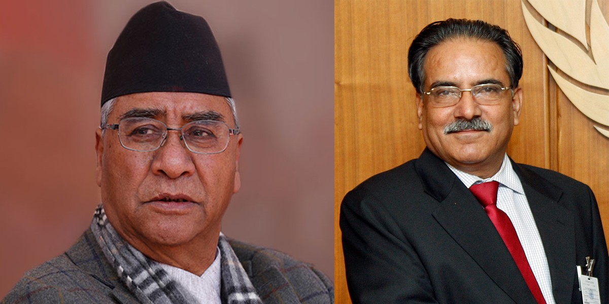 ‘चिकित्सक कुट्नेलाई कारबाही गरियोस्’