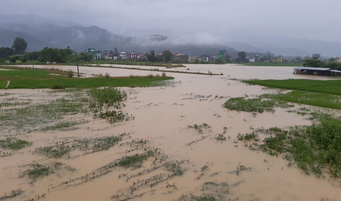 बाढी र पहिरोले पाइप बगाउँदा खानेपानीको हाहाकार