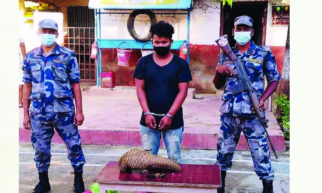 सालकको खपटासहित बर्दियाका नकुल सशस्त्र प्रहरीको नियन्त्रणमा