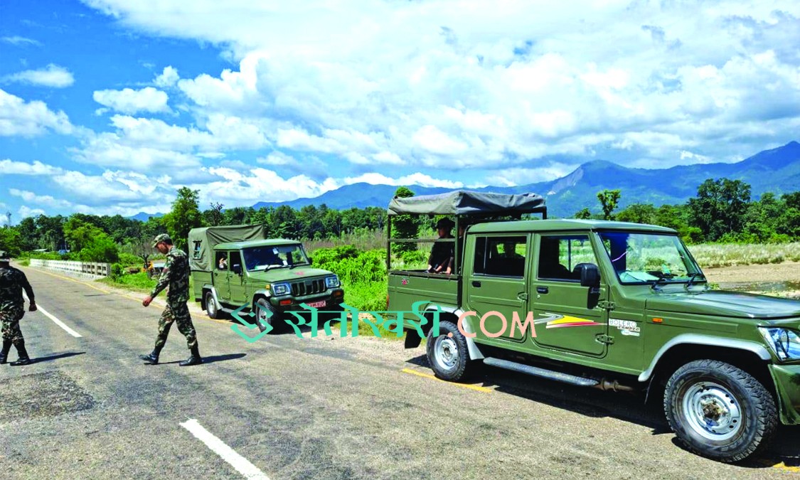 ५ दिनदेखि निकुञ्जले राखेको पाडो खान बाघ आएन