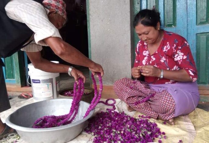 व्यावसायिक फूलखेती : तिहार नजिकिएसँगै माला उन्न वनमाला टोलका बासिन्दालाई भ्याइनभ्याइ