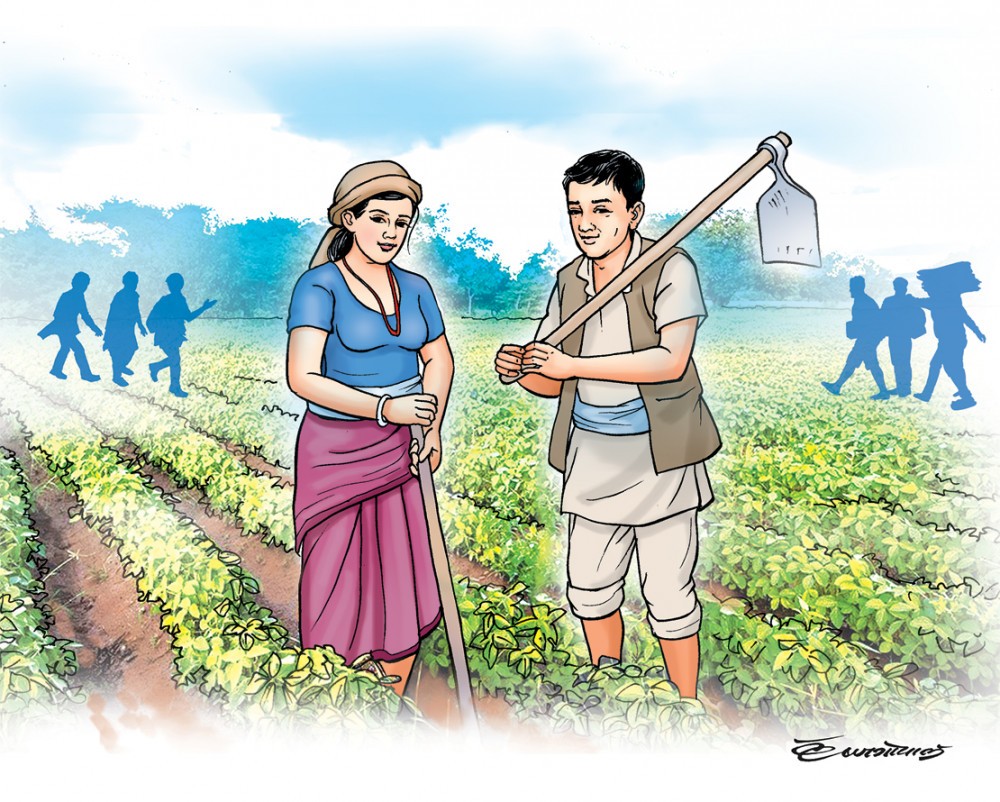 कृषकलाई होइन, कागज मिलाउनेलाई अनुदान !