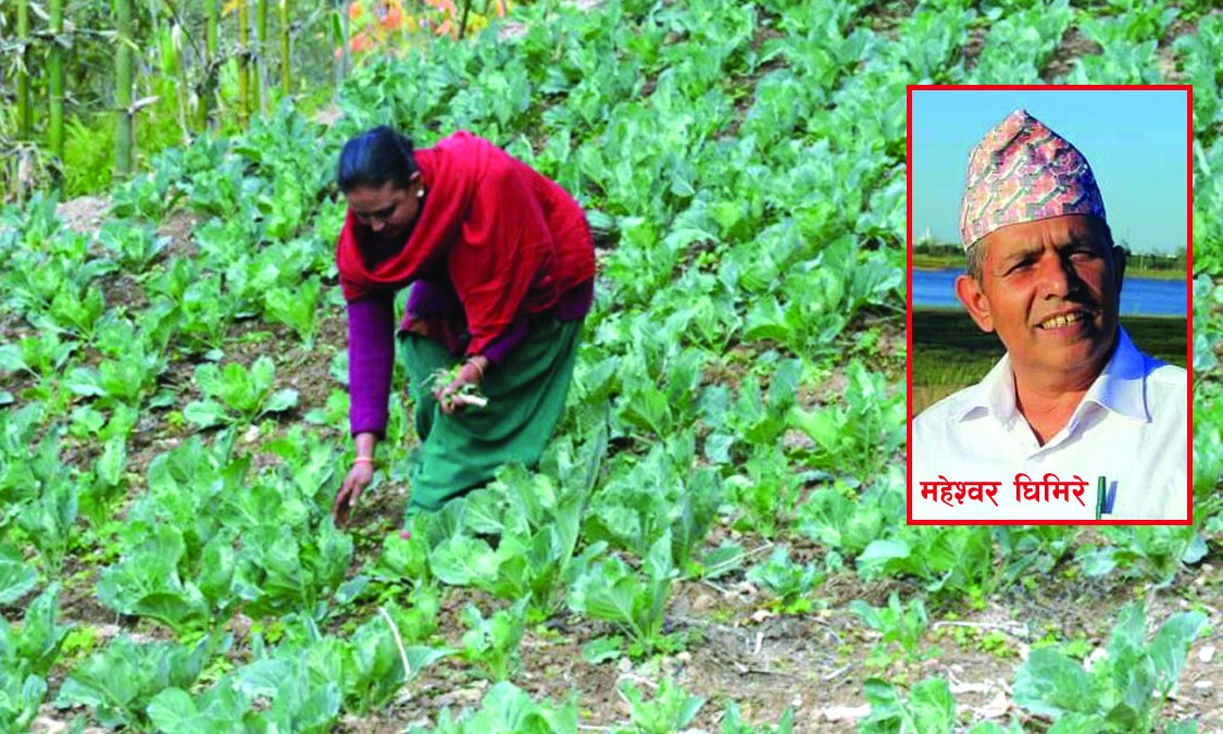 कसरी चिन्ने अर्गानिक उत्पादन ?