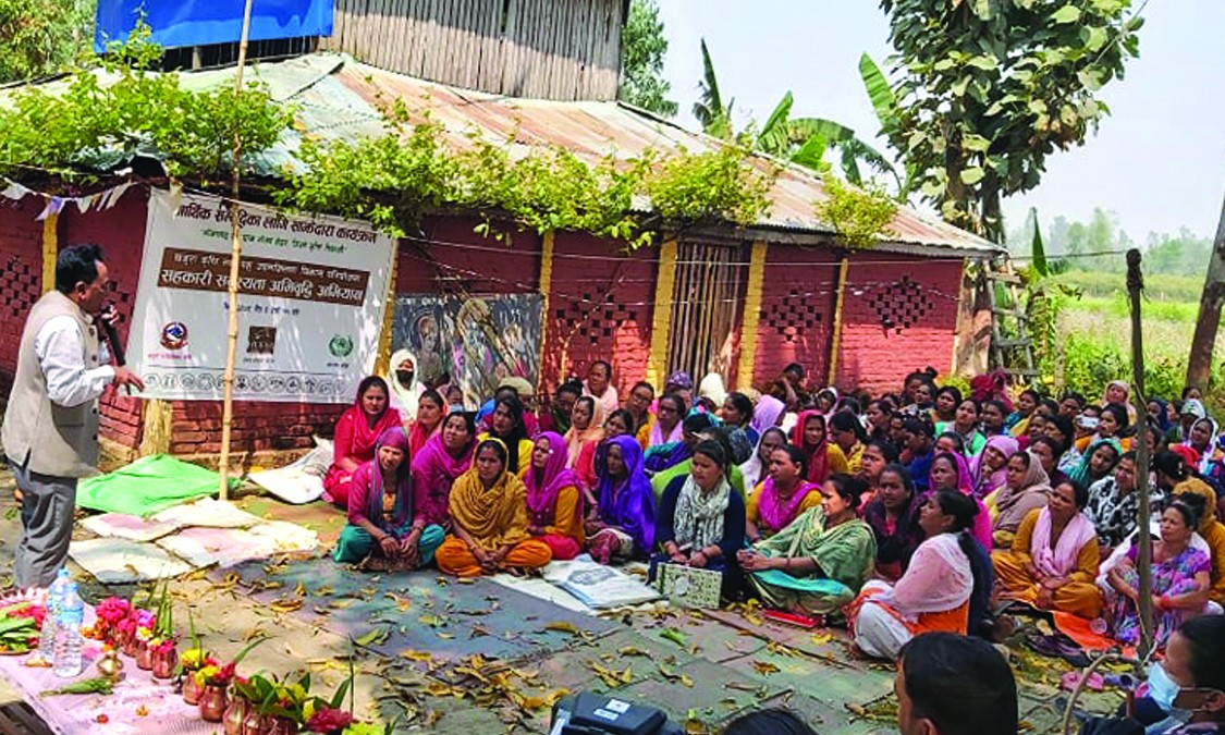 खजुराका महिला उद्यमी सहकारीमा जोडिँदै