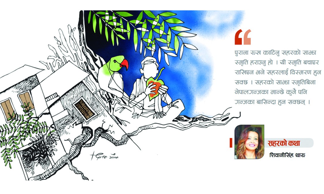 दास्तान–ए–नेपालगन्ज