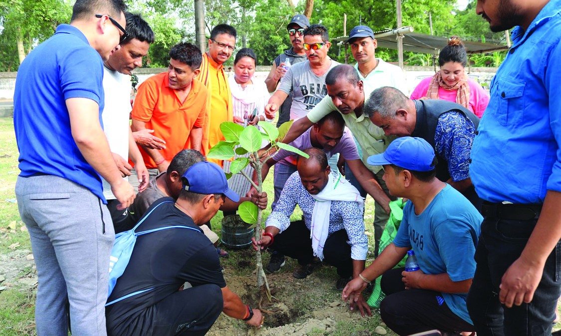 नगर प्रमुख विष्टले गरे वृक्षारोपन