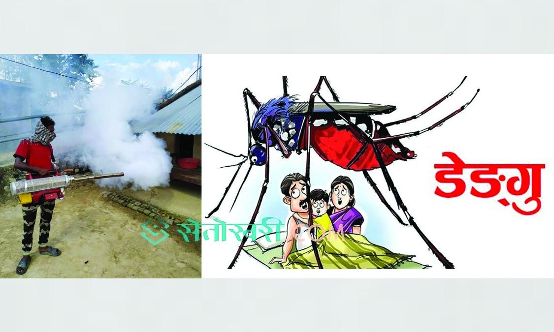 नेपालमा डेंगु संक्रमित संख्या दश हजार नजिक पुग्यो
