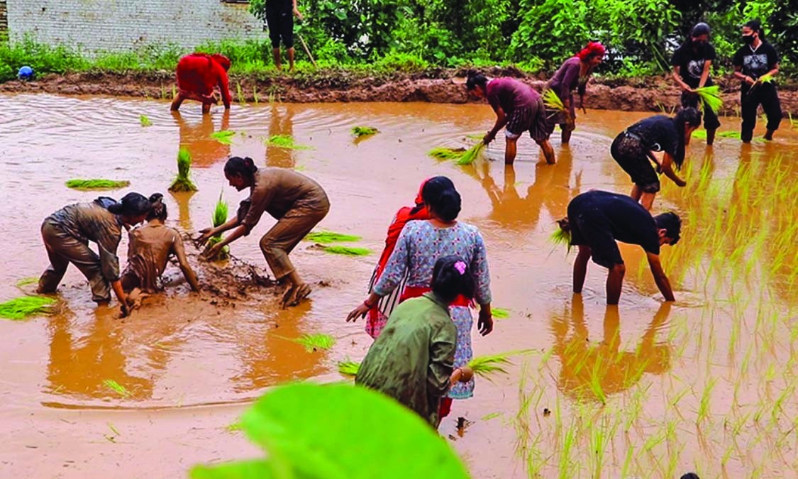 कृषिमा विद्यार्थीको आकर्षण बढ्दो