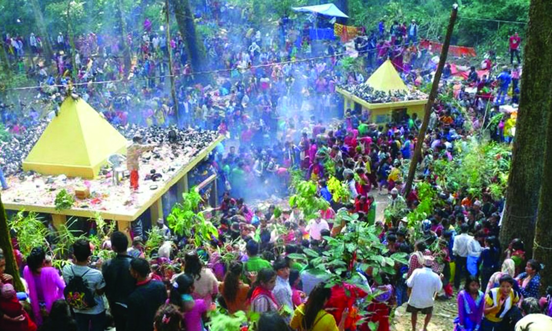 पाल्पामा १८ कात्तिकदेखि चिच्याएर वर माग्ने मेला