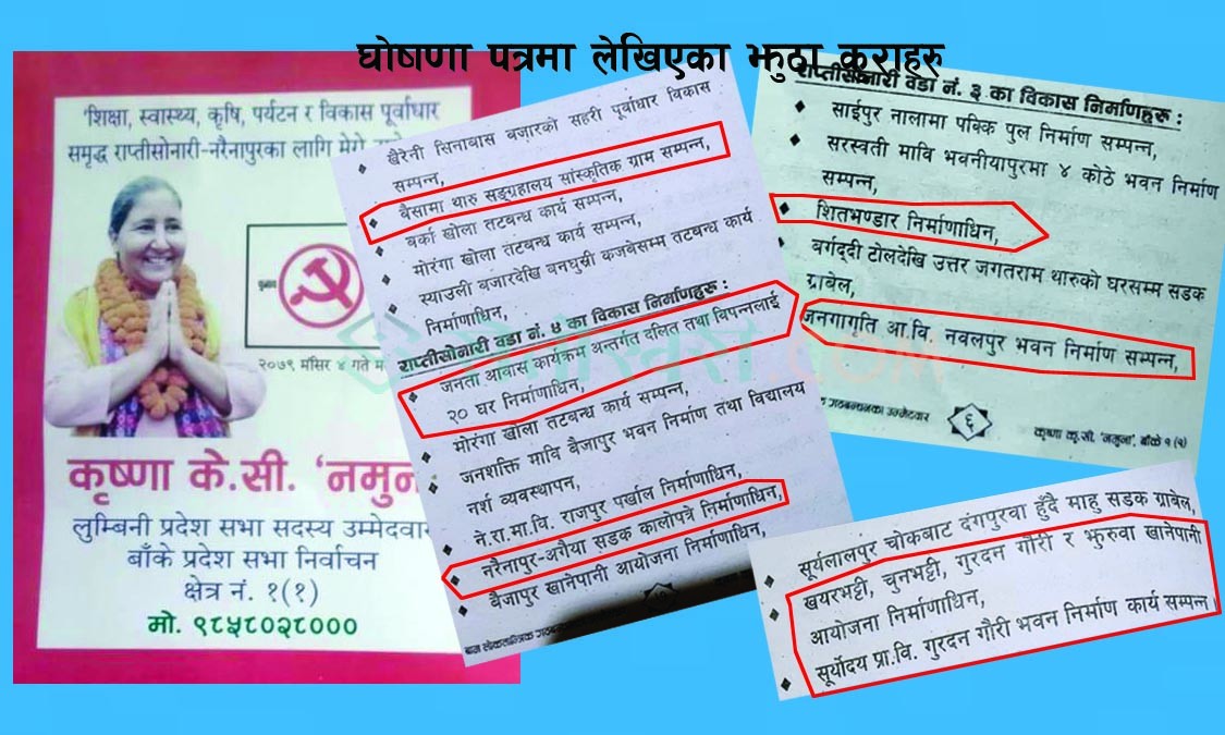 ‘नमुना’को घोषणा पत्रमा झुठै–झुठ, जनतामा आक्रोस