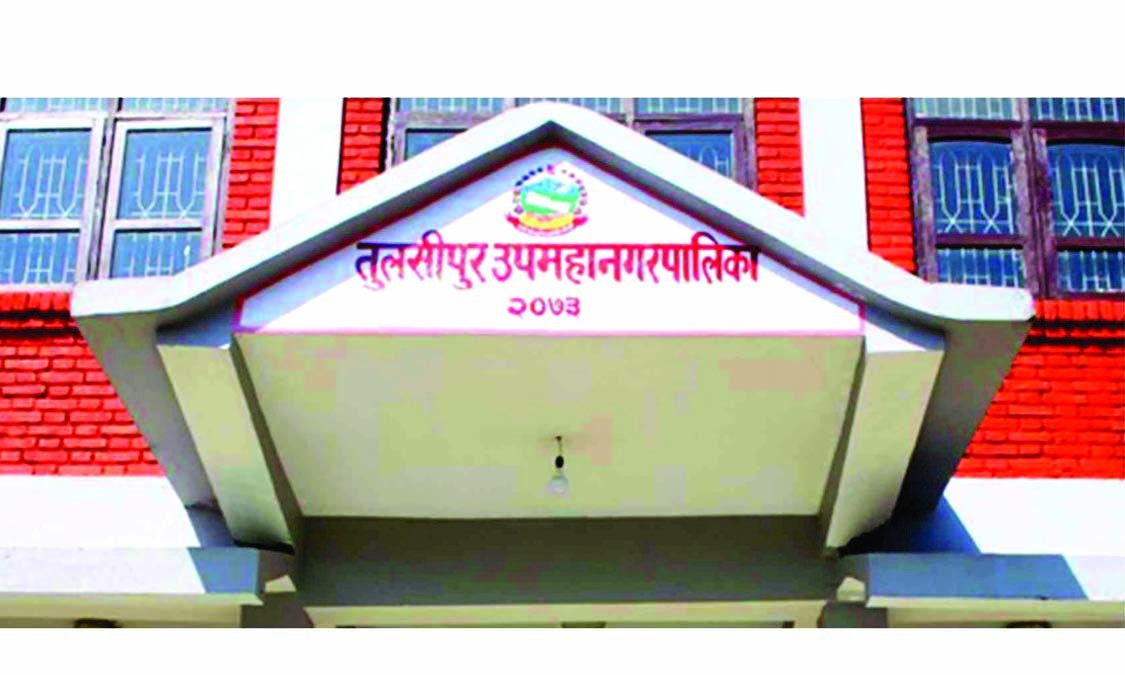 उपमहानगरको जग्गा अतिक्रमण गरेर पक्की घर निर्माण