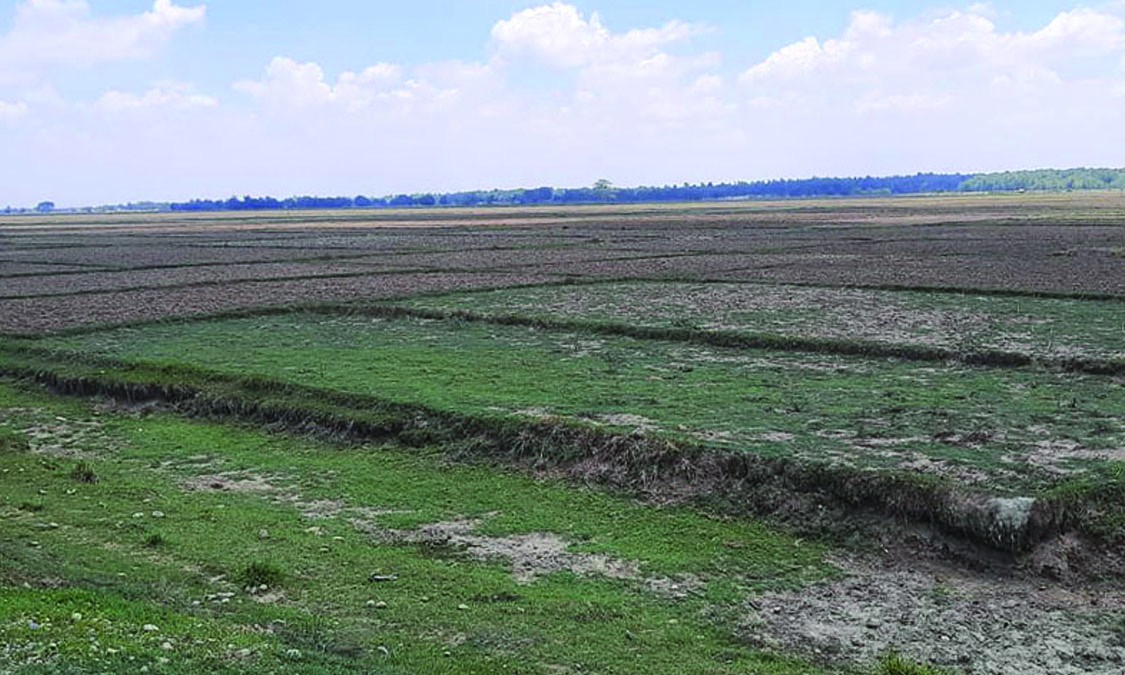 कर्णाली प्रदेशमा २८ प्रतिशत खेतीयोग्य जमिन बाँझै